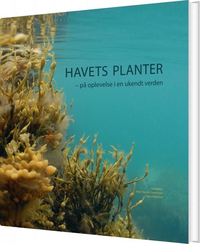 Havets Planter - Peter Bondo Christensen - Bog