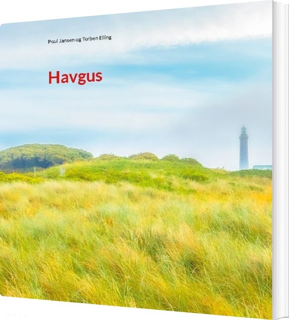 Billede af Havgus - Poul Jansen - Bog