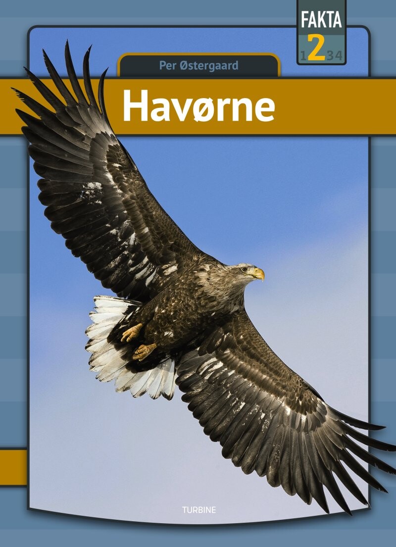 Havørne - Per østergaard - Bog