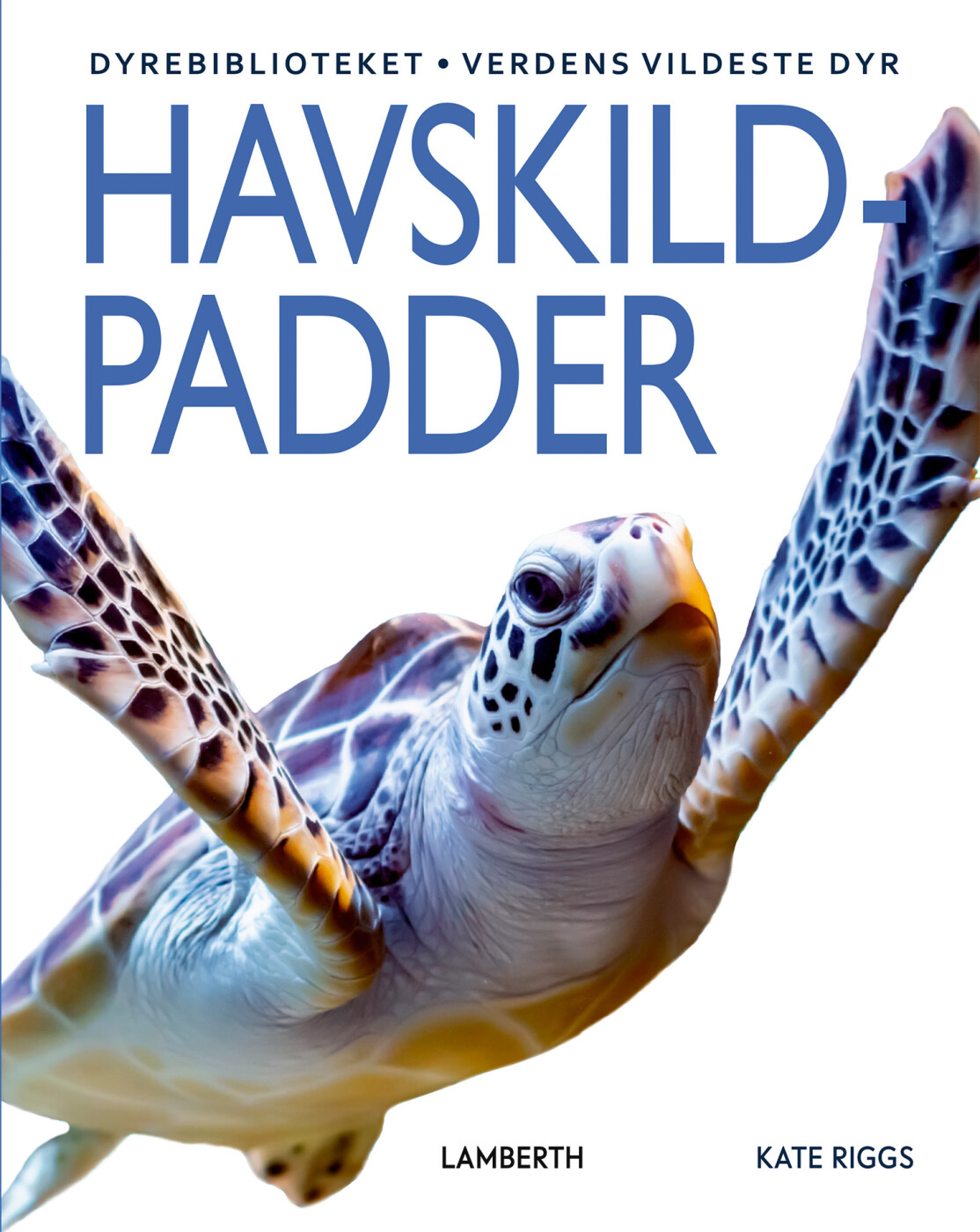 Havskildpadder - Kate Riggs - Bog