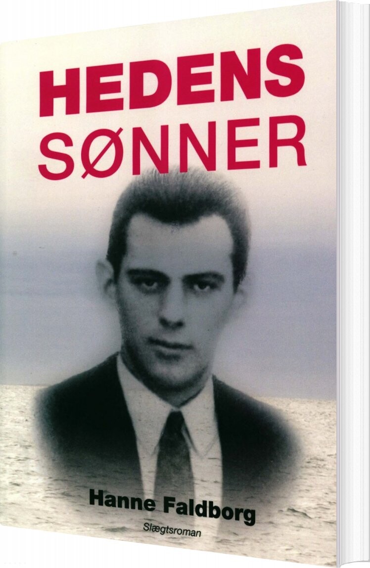 Billede af Hedens Sønner - Hanne Faldborg - Bog