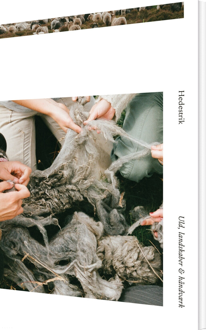 Hedestrik - Hedestrik - Bog