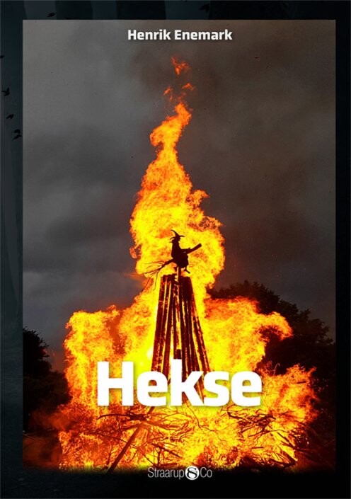 Billede af Hekse - Henrik Enemark - Bog