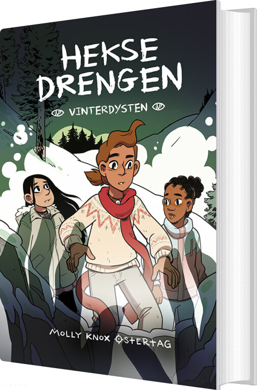 Heksedrengen 3 - Vinterdysten - Molly Ostertag - Bog