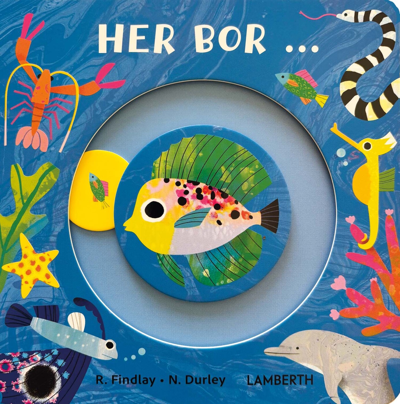 Her Bor - Rhiannon Findlay - Bog