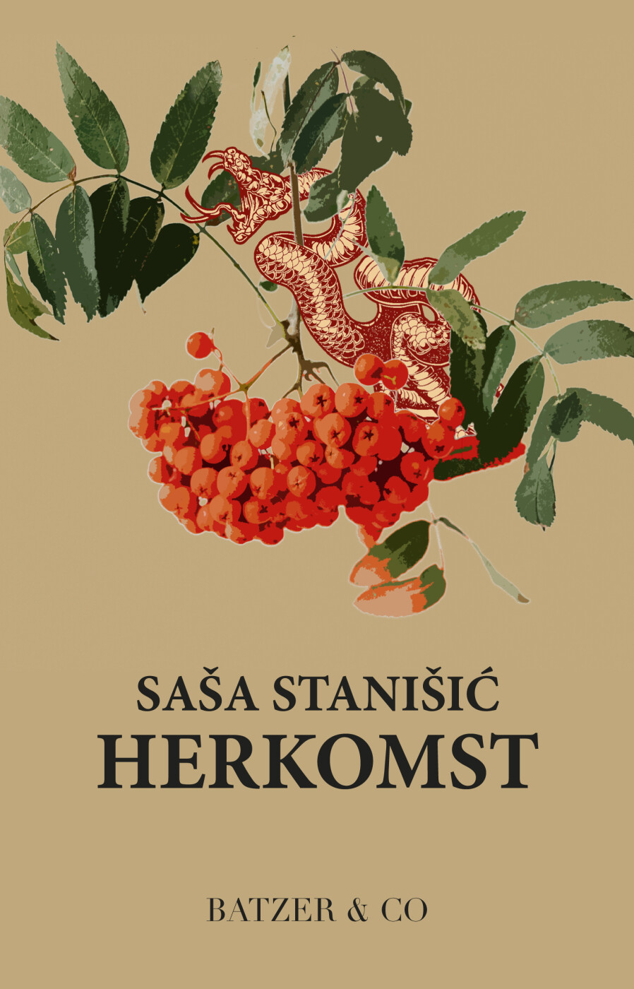 Herkomst - Sasa Stanisic - Bog