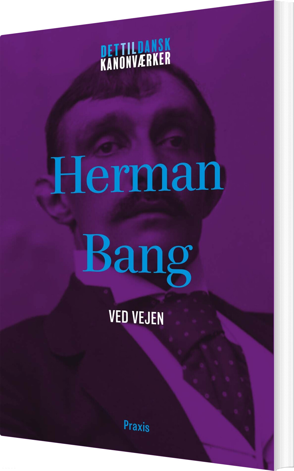 Herman Bang: Ved Vejen - Herman Bang - Bog