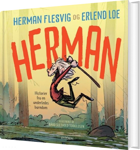Billede af Herman - Erlend Loe - Bog