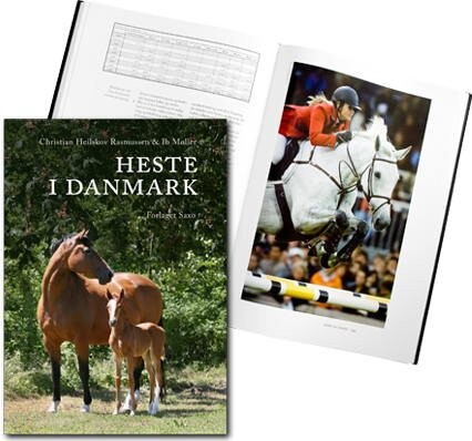 Billede af Heste I Danmark - Ib Møller - Bog