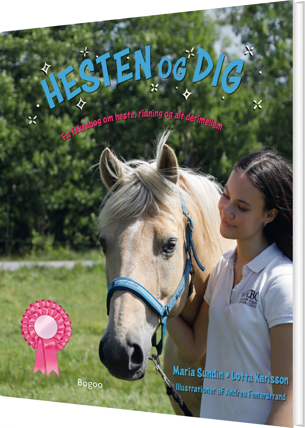 Hesten Og Dig - Maria Sundin - Bog