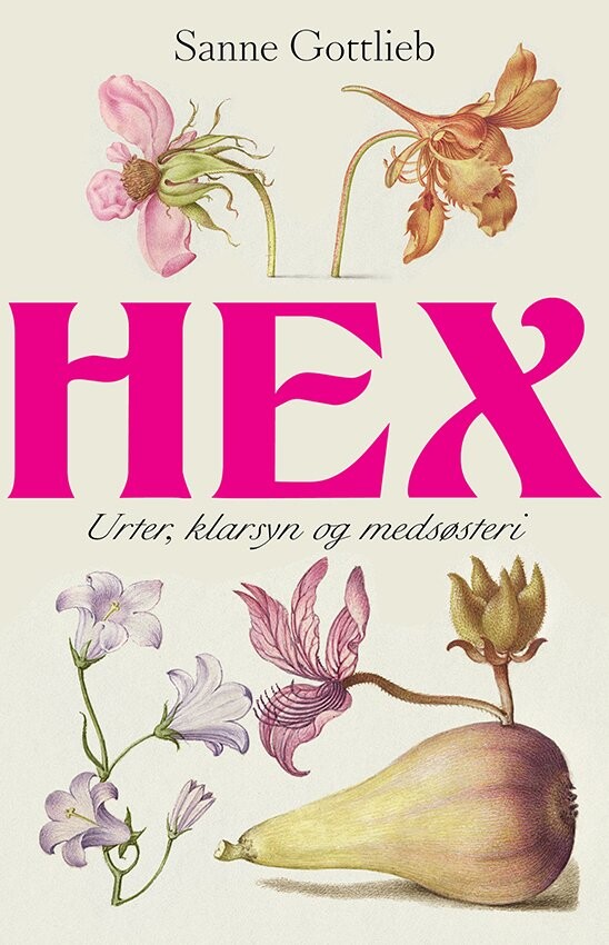 Billede af Hex - Sanne Gottlieb - Bog