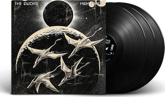 The Ducks - High Flyin' - Vinyl Lp