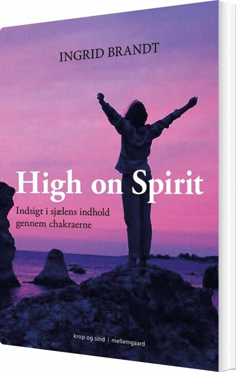 Billede af High On Spirit - Ingrid Brandt - Bog