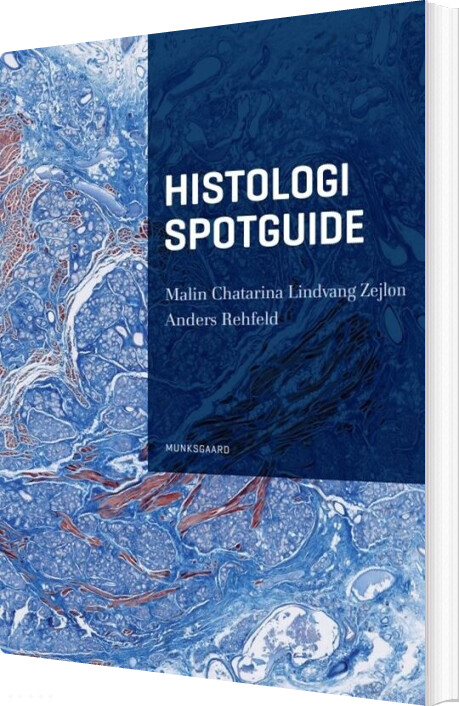 Histologi Spotguide - Anders Rehfeld - Bog