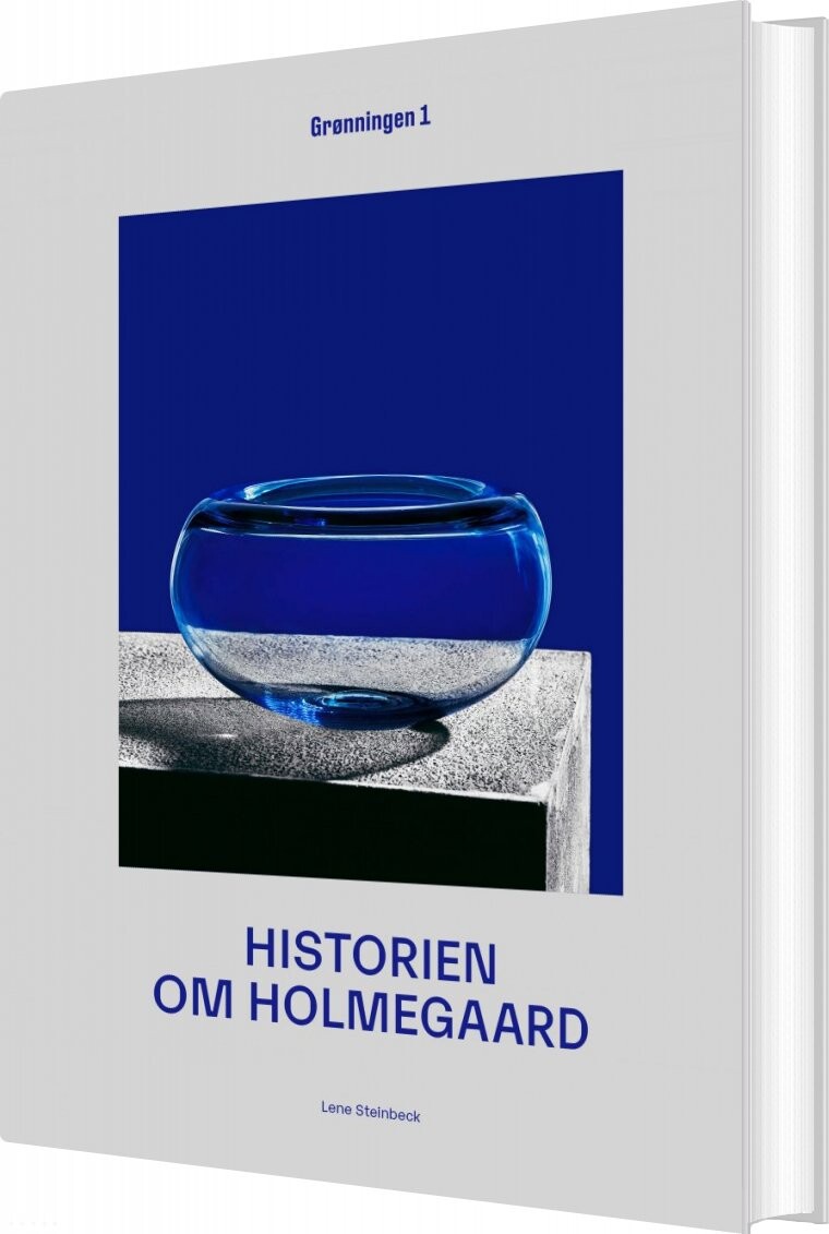 Historien Om Holmegaard - Lene Steinbeck - Bog