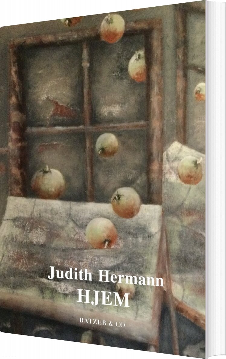 Billede af Hjem - Judith Hermann - Bog