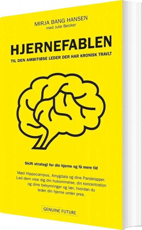 Hjernefablen - Mirja Bang Hansen - Bog