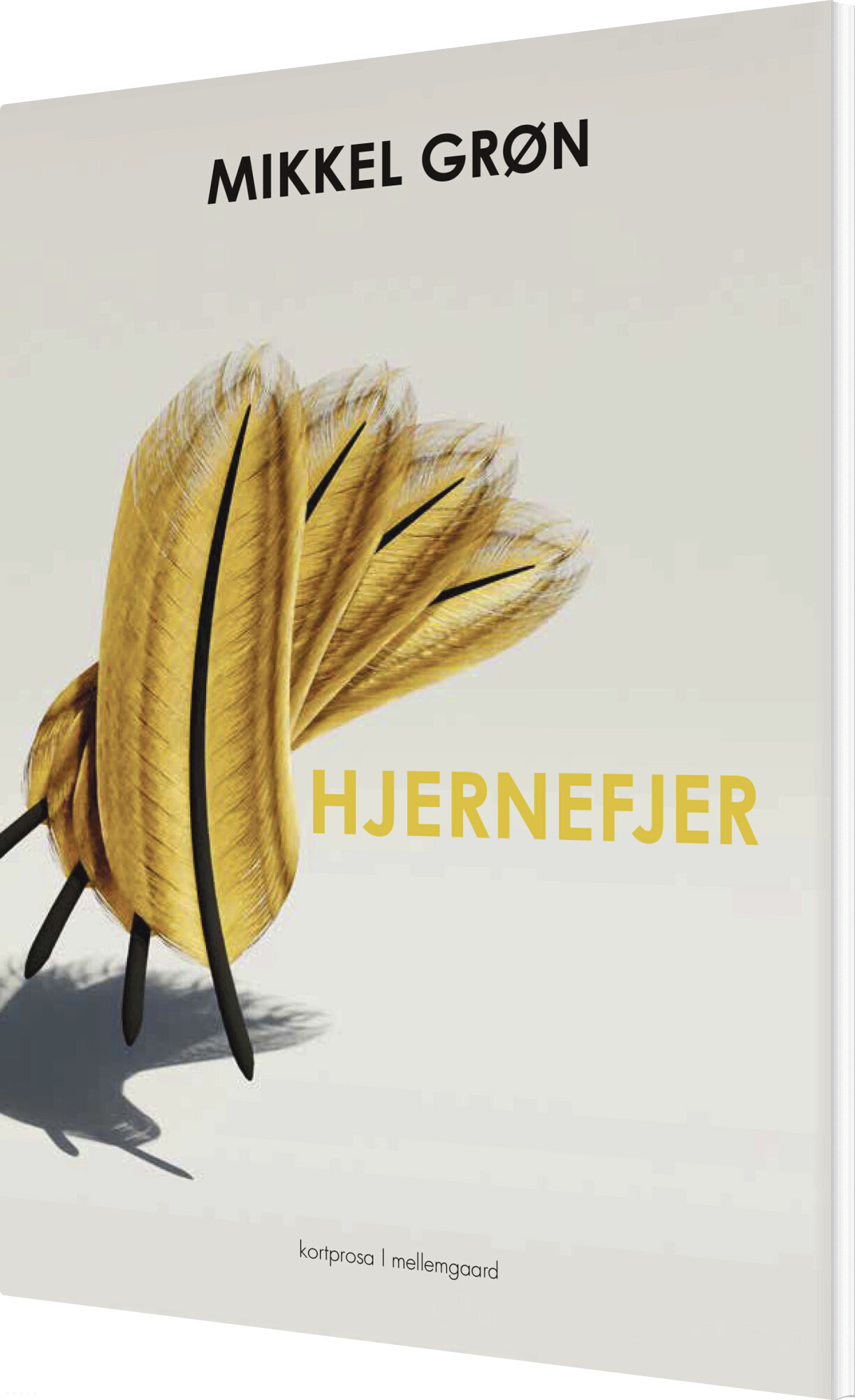 Hjernefjer - Mikkel Grøn - Bog