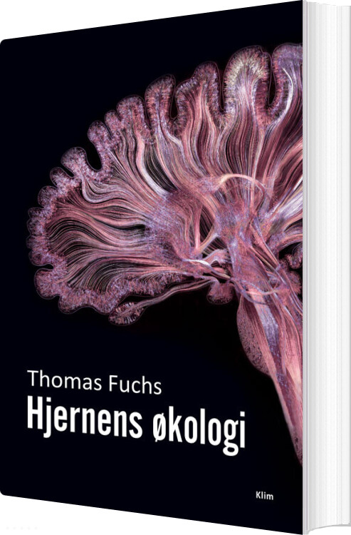 Billede af Hjernens økologi - Thomas Fuchs - Bog