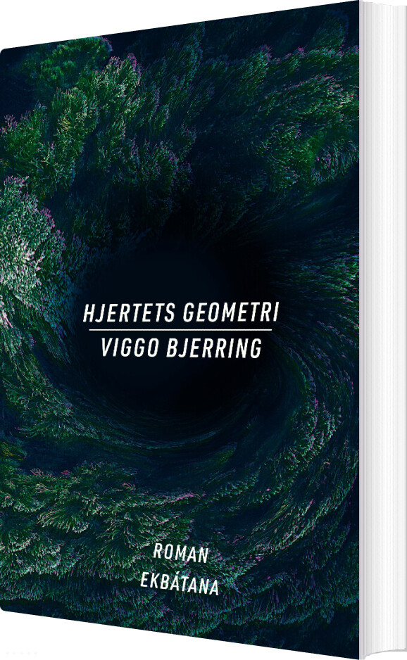 Billede af Hjertets Geometri - Viggo Bjerring - Bog