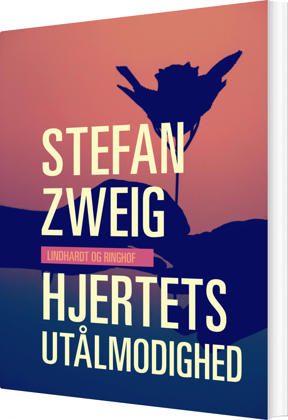 Hjertets Utålmodighed - Stefan Zweig - Bog