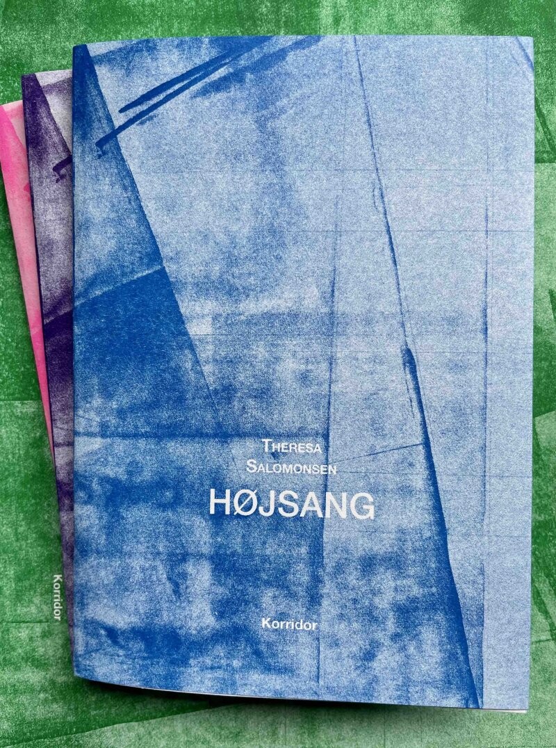 Højsang - Theresa Salomonsen - Bog