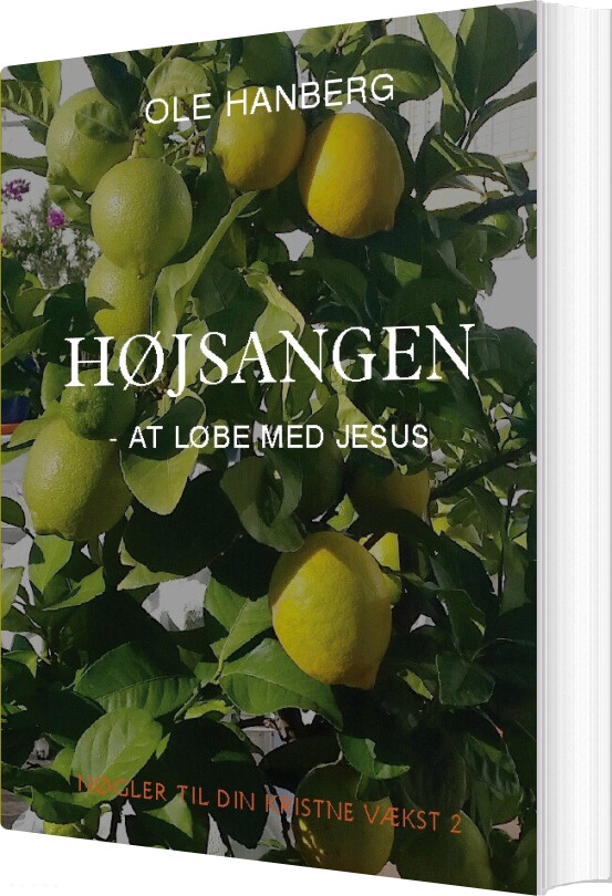 Højsangen - Ole Hanberg - Bog