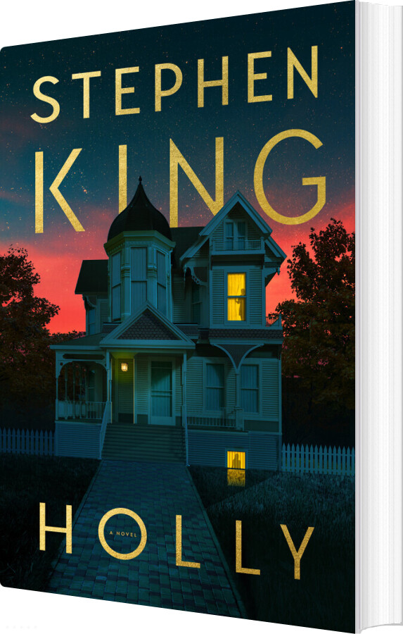 Billede af Holly - Stephen King - Bog