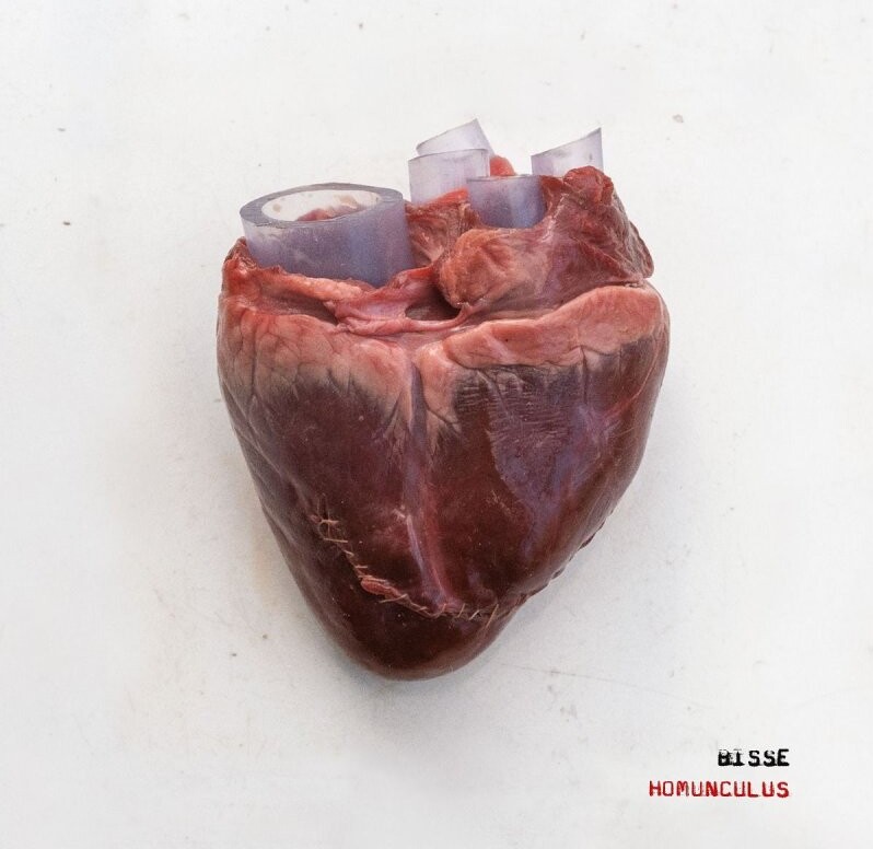 Bisse - Homunculus - Vinyl Lp