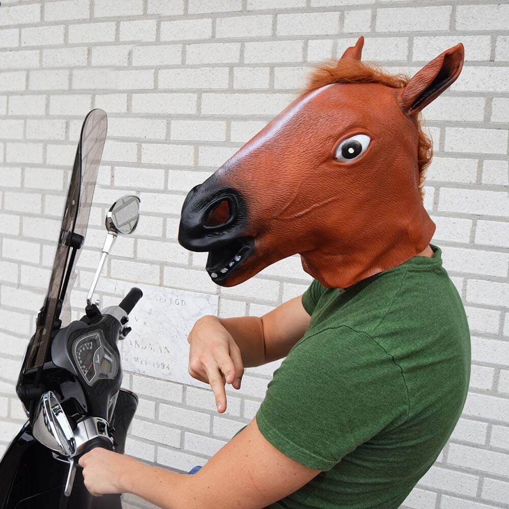 Billede af Heste Maske Med Hår - One Size