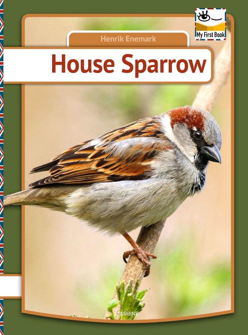 House Sparrow - Henrik Enemark - English Book