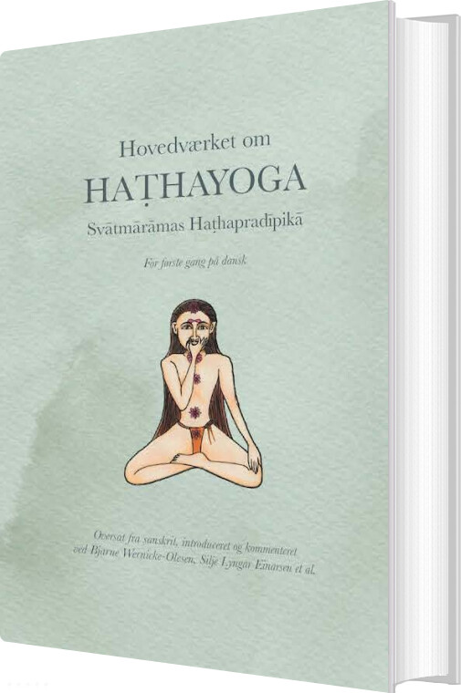 Billede af Hovedværket Om Hathayoga - Bjarne Wernicke-olesen - Bog