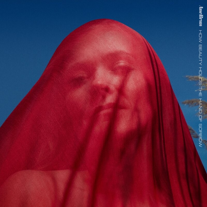 Ane Brun - How Beauty Holds The Hand Of Sorrow - Colored Edition - Vinyl Lp