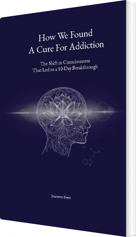 How We Found A Cure For Addiction - Jeanette Evert - English Book