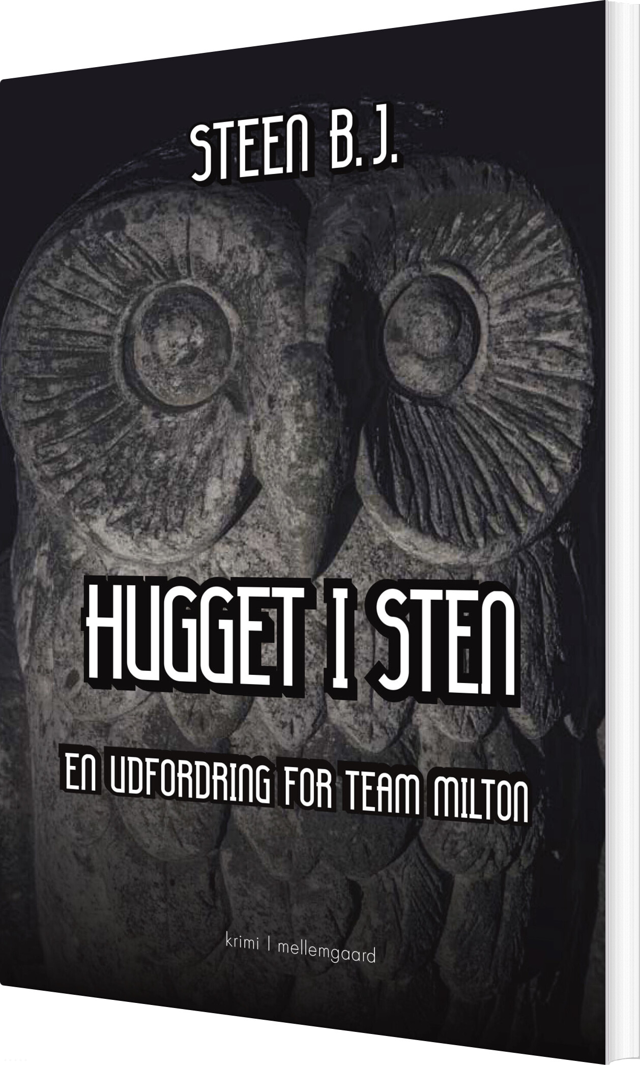 Hugget I Sten - Steen B.j - Bog