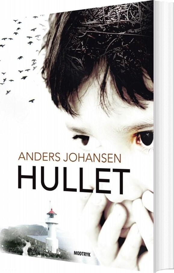 Billede af Hullet - Anders Johansen - Bog