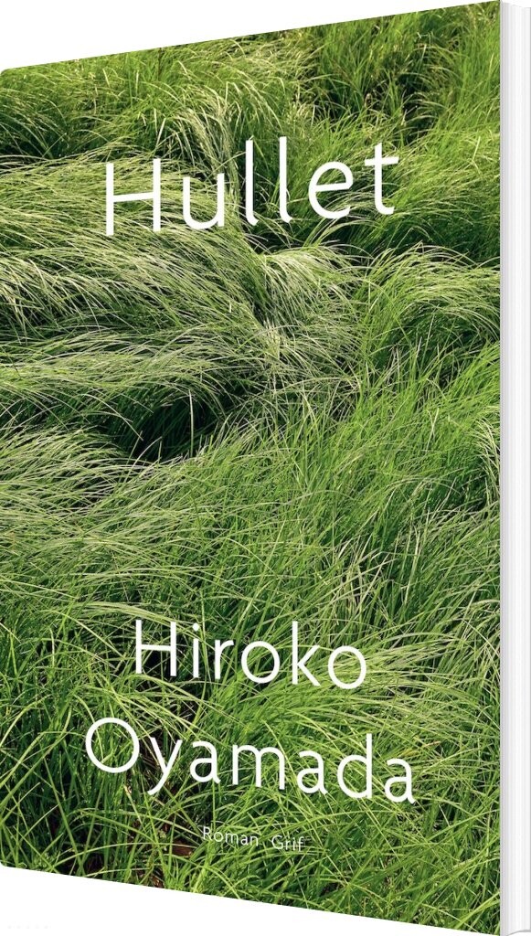 Billede af Hullet - Hiroko Oyamada - Bog