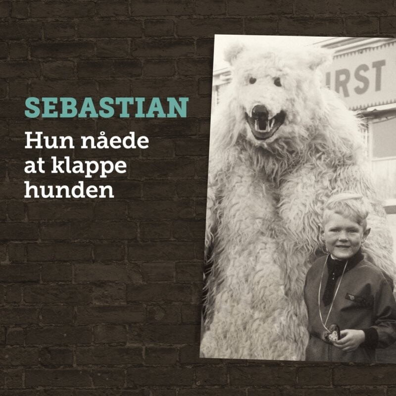 Sebastian - Hun Nåede At Klappe Hunden CD → Køb CDen billigt her