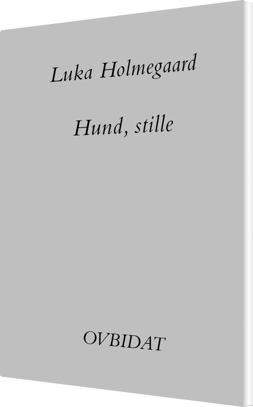 Billede af Hund, Stille - Luka Holmegaard - Bog