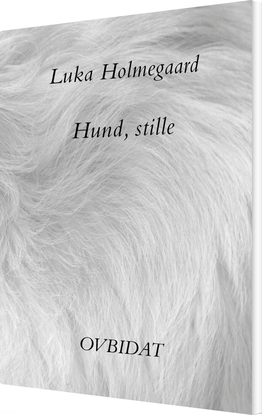 Hund, Stille - Luka Holmegaard - Bog