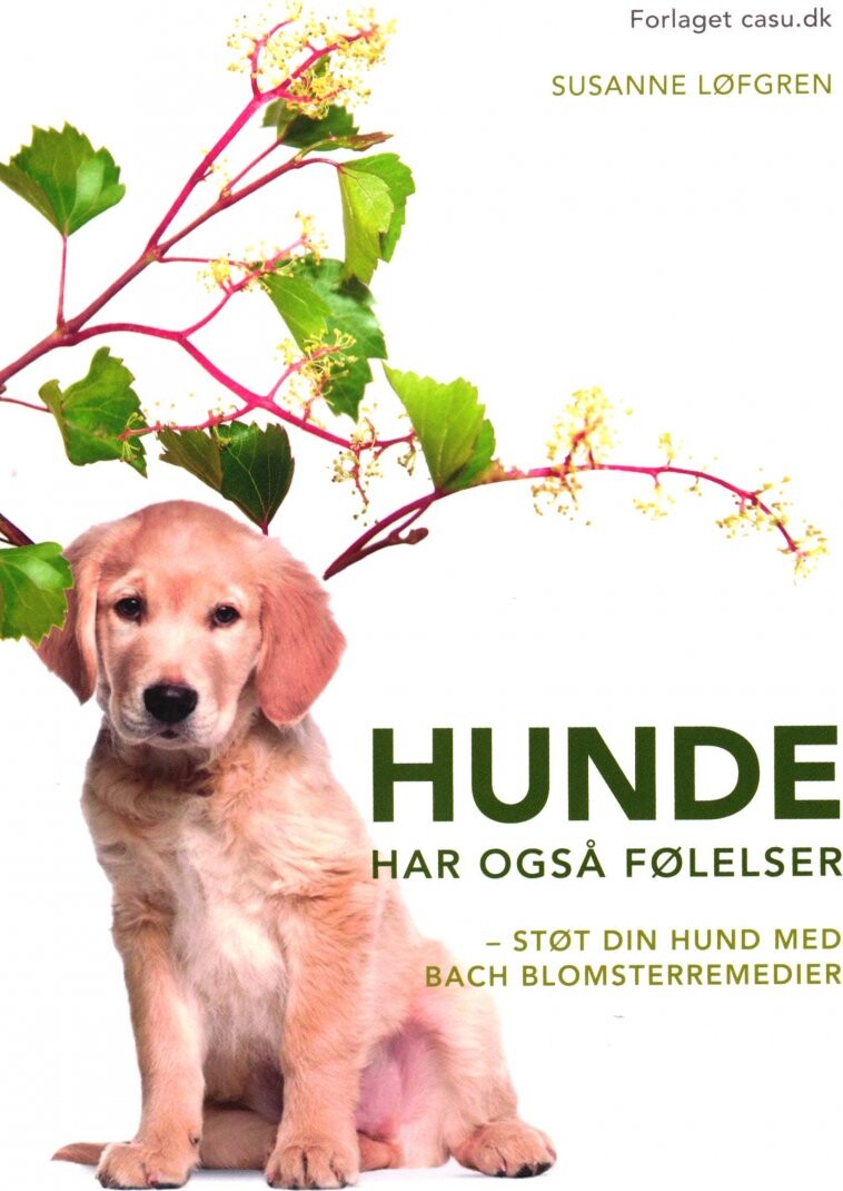 Billede af Hunde Har Også Følelser - Susanne Løfgren - Bog