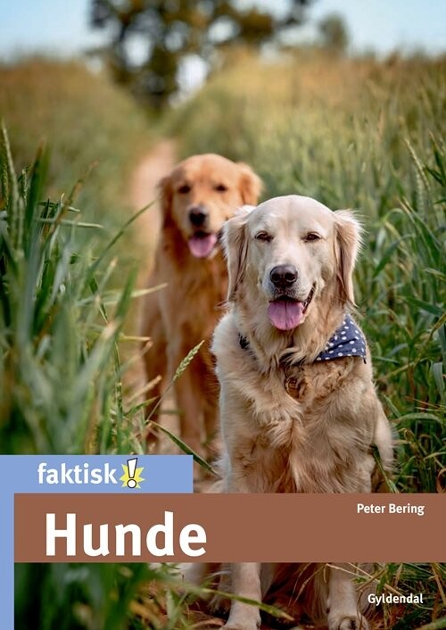 Hunde - Peter Bering - Bog
