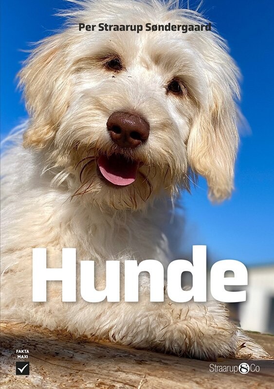 Hunde - Per Straarup Søndergaard - Bog - Straarup & Co