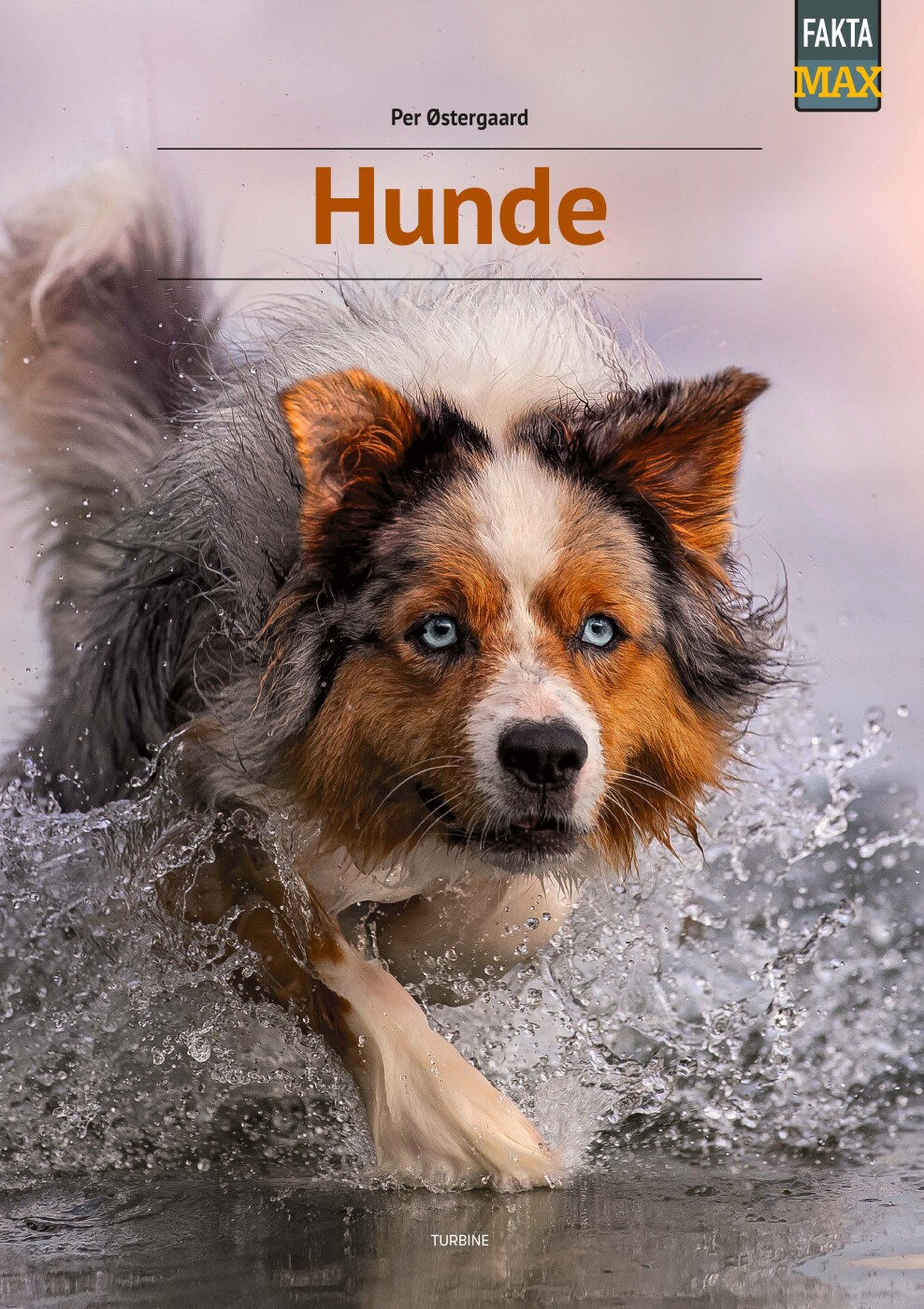 Hunde - Per østergaard - Bog