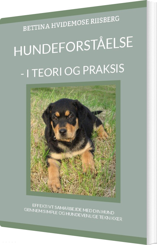 Billede af Hundeforståelse - Bettina Hvidemose - Bog