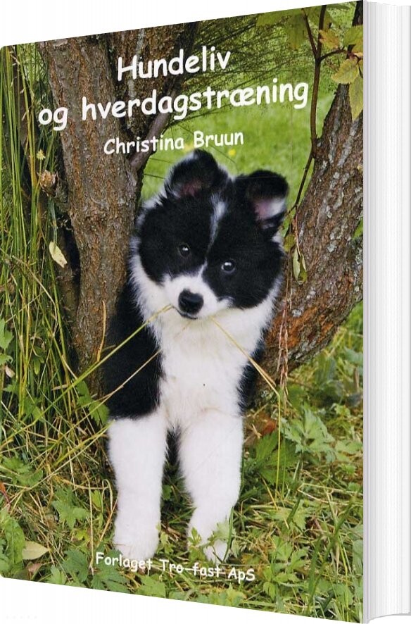 Billede af Hundeliv Og Hverdagstræning - Christina Bruun - Bog