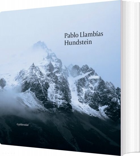 Billede af Hundstein - Pablo Llambías - Bog