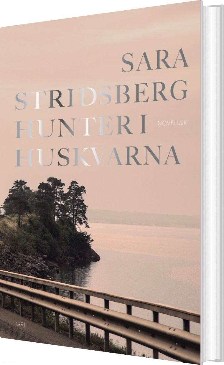 Billede af Hunter I Huskvarna - Sara Stridsberg - Bog
