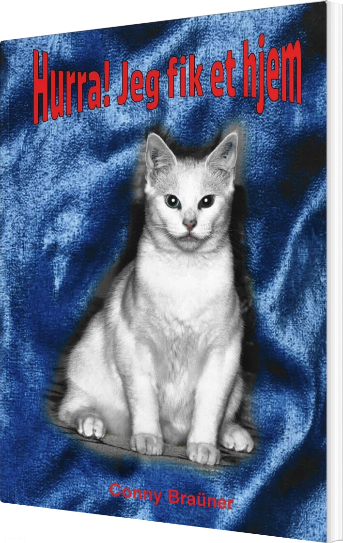 Hurra! Jeg Fik Et Hjem - Conny Braüner - Bog