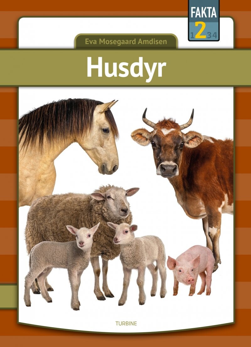 Forside til Husdyr - Eva Mosegaard Amdisen - Bog